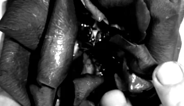 Hand Fetish - My Hands Destroying Flowers and Fruit