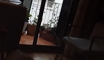 Through the Window