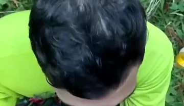 Two Males of Large Piroca Making Blows in the Forest.