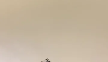 New Gear, Hot Underwear and more!