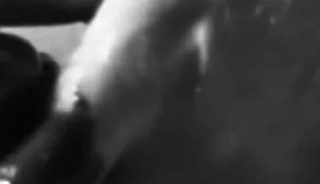 White Cock with Chocolate Syrup