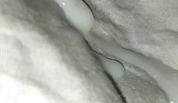 Huge Sperms Out of His Penis, an Young Boy