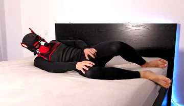 Horny Neoprene Puppy Humping and Teasing Himself