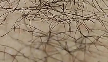 I'm Hairy Boy This My Legs and Dick