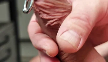 Sls-frank My Subincision Cock with Split Glans and Piercing Sack in Close-up