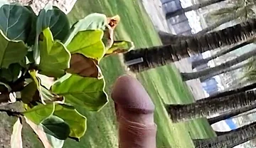 Public Beach Cock Flash