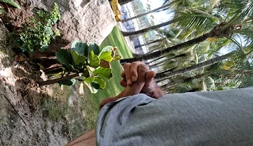 Public Beach Cock Flash