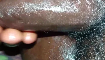 Bullock master of analized