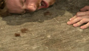 The Official Greeting of the Dom of the House