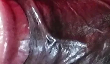 Man Masturbating Solo Episode 1