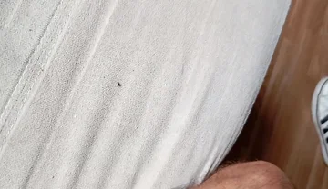 The Guy with His Cock Full of Semen After Cumming I Go Out to the Street with His Stained Pants