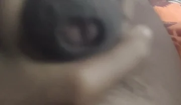 Aunty's Pussy Became Wet After Seeing My Penis.