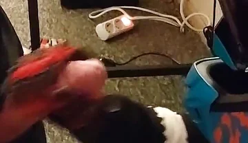 Motocross Guy Jerks off After Sex to His Partner