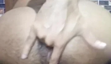 Sissy Boyin Liginere Fingering