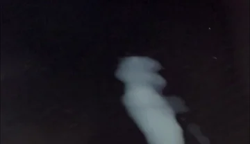 What Does Sperm Experience in Slow Motion?