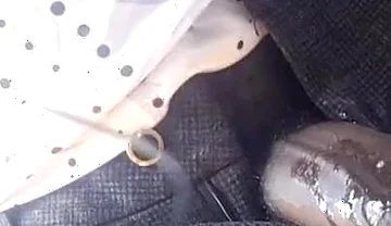 Foreman Warehouse Cumshots During Work Break