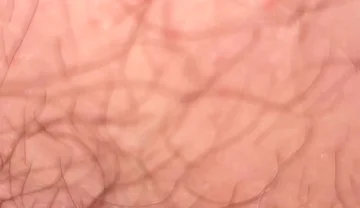 Close up Hairy Hole