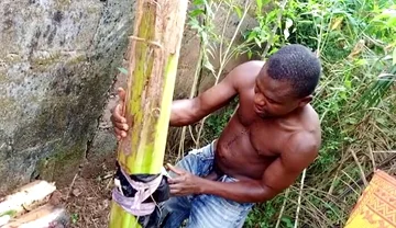 F*** Your Health Dick Out of the Cook