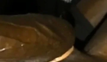 Rubbing Squeezing My Big Balls Stroking My BBC