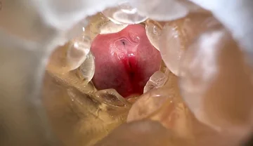 Orgasm on Peak Solo Morning Dirty Talk