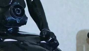 Gimp Programming (hotel Collection)