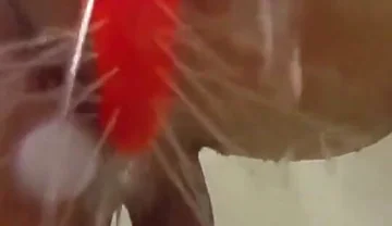 Using a Shower Spray Dildo