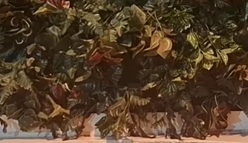 Bath Time Challenge - Bear Control in the Tub