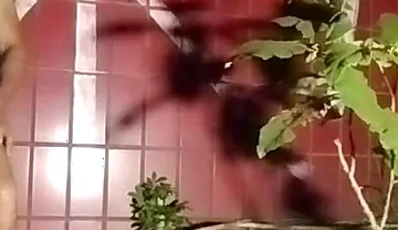 Breastfeeding Stranger on the Street