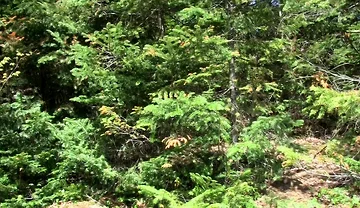 An Outdoor Cum Eruption!