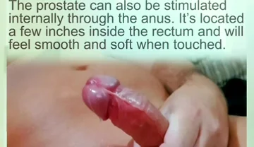 Prostate Orgasams Anal