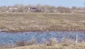 Fuck Me on the Side of the Road, Shove a Big Cock with Cum up My Ass