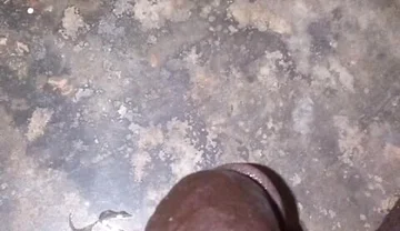 I Own Weak White Bois with My Superior