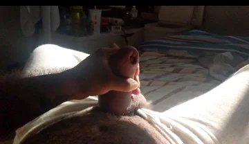 I Wasn't the Only One Who Was Alert This Morning