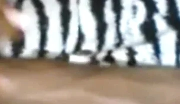 Passionately Stroking Edging My BBC Moaning Groaning