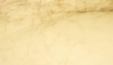 Close up of My Hole