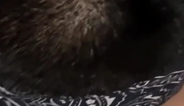 Watches Boyfriend's Long Deep Oral Session