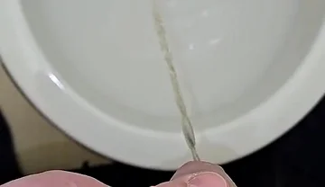 Pissing to the Toilet