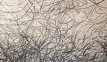 Indian Gay Boy Outdoor Masterbtion with Kissing Lip