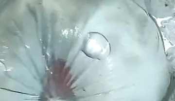 Steamy Bathroom POV Play-shayan Deniz