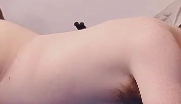 Black Bear Breeds White Bear