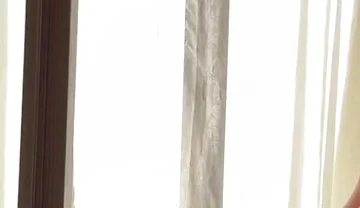 I Take a Big Completely in My Mouth, and Then It Enters Me