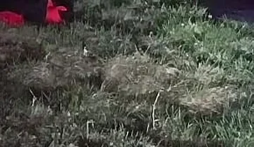 I Strip and Jerk off Outside at Night