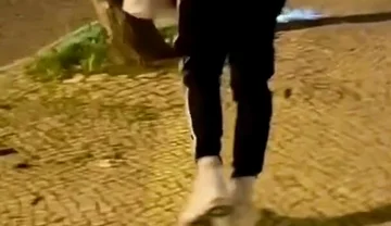 Compilation of Amateur Boys Flashing Their Ass in the Street