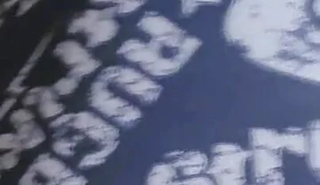 Gray Boxer and White Socks (video 1)