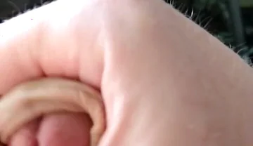 It's Aliiiiive