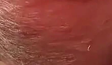 Compilation of Several of My Recent Cumshots