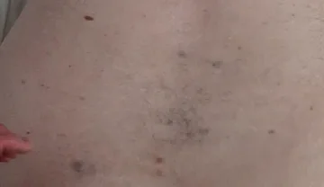 Mart the Cat Fucks My Fat Ass