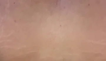 Im a Lovers of Cocks