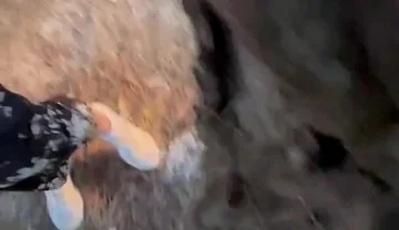 Amateur Guys Cruising for Sex