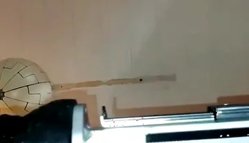 Mr. Hankey's Dragon Dildo Xl Full Insertion Doggy Anal Fucking Machine